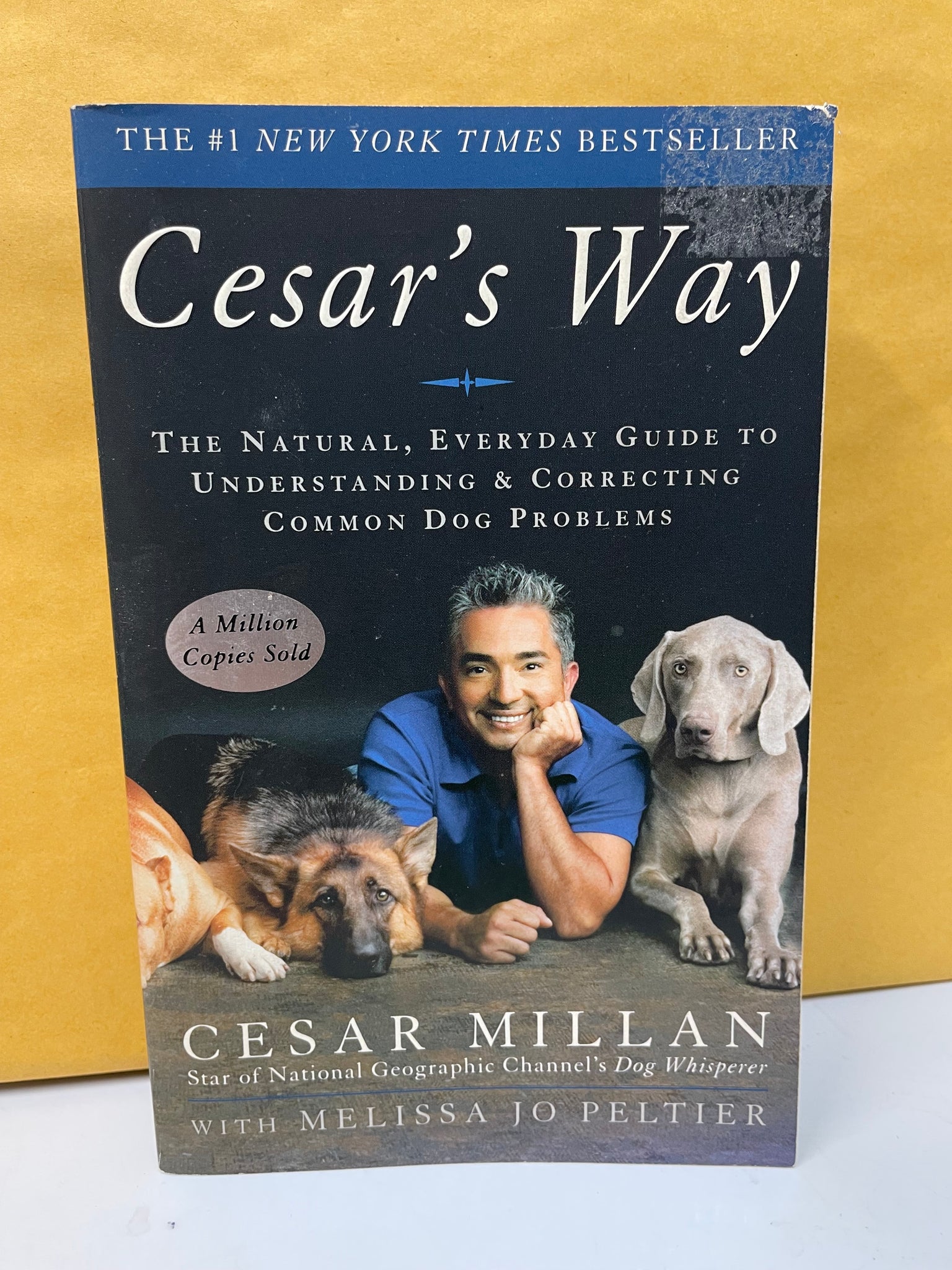 Cesar's Way: The Natural, Everyday Guide to Understanding & Correcting Common Dog Problems