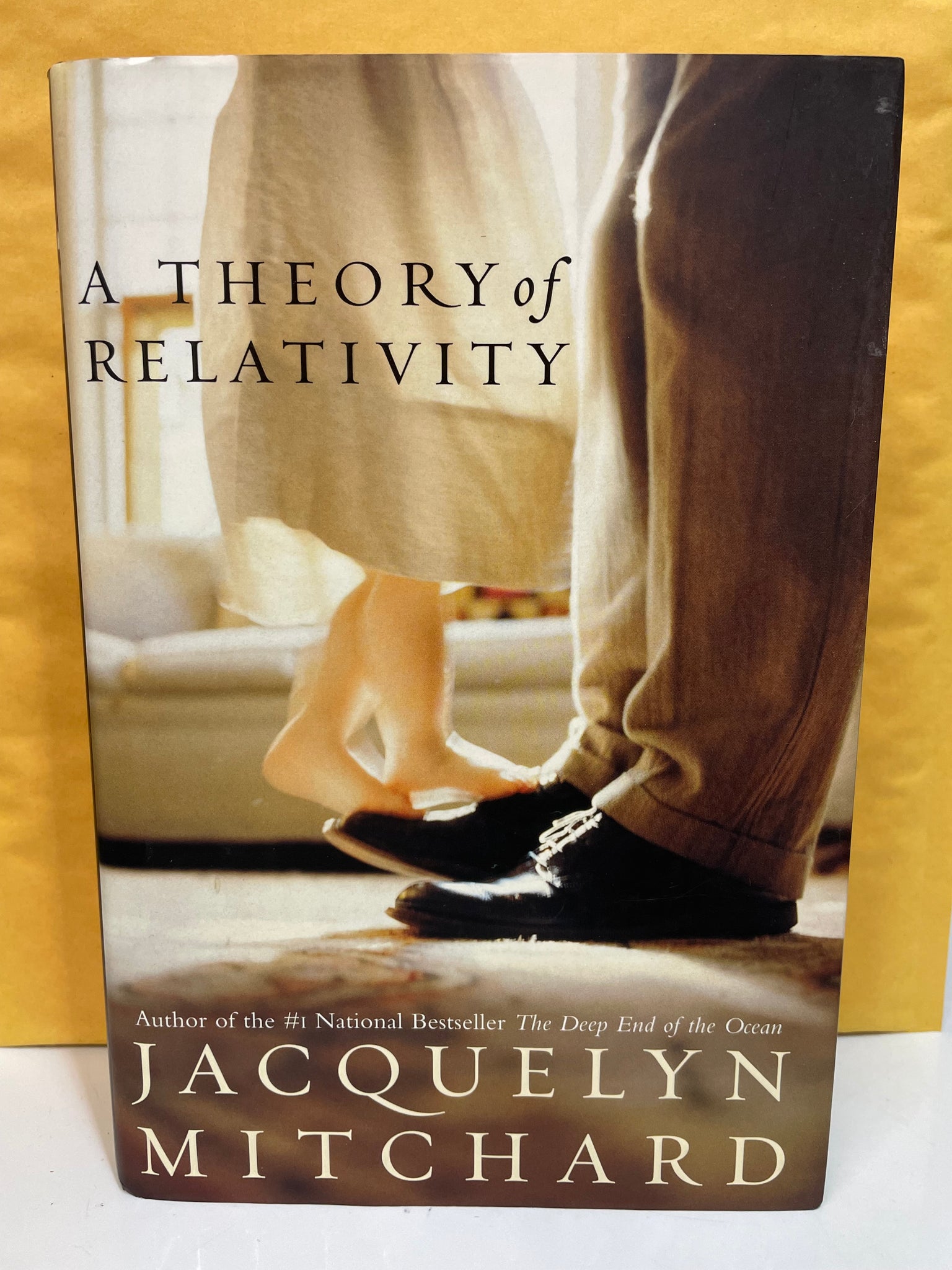 A Theory of Relativity: A Novel