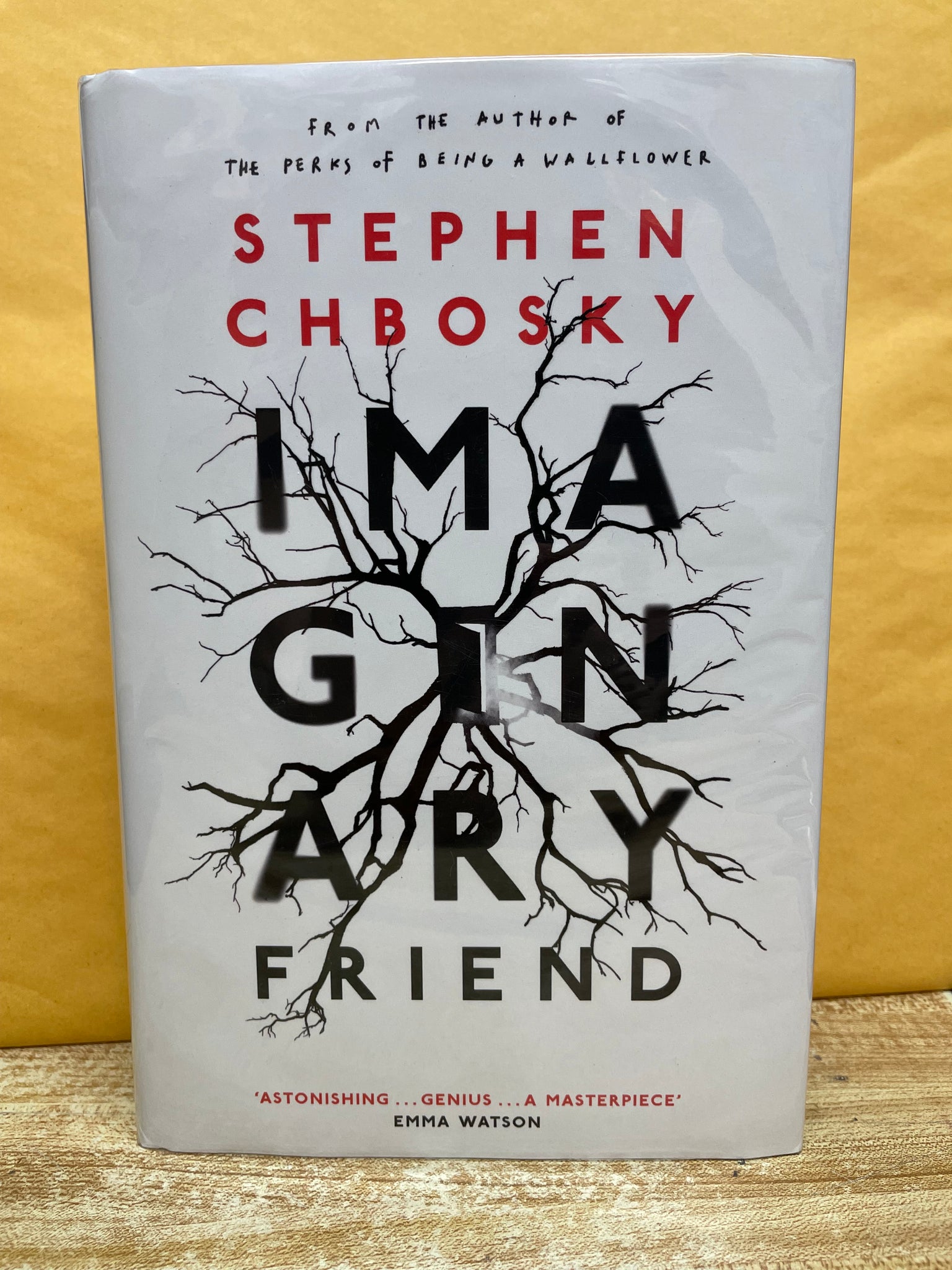 Imaginary Friend (Signed Limited Edition)